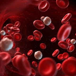 Redukuje Tworzenie Się Zakrzepów